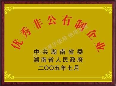 优异非公有制企业（2005年）